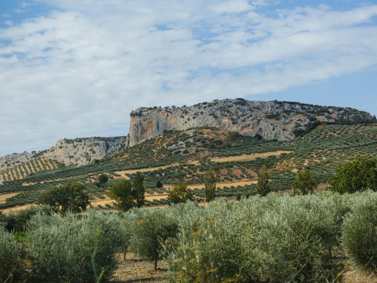 Poetas Andaluces